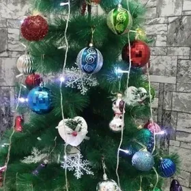 ЁЛКАÝOLKAARÇAARZAN70M