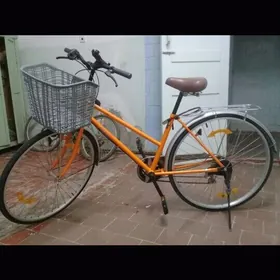 27 Пакет 6 скор