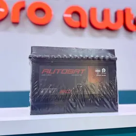 KREDIT 🫟 AUTOBAT 12V90AH dik