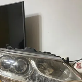 Европейка фара