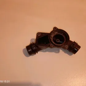 Termestat kriska goso wanus