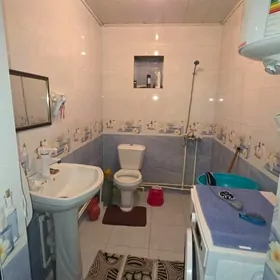 Tolstoy 3komn yer jay