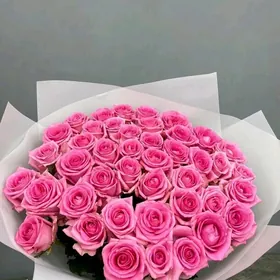 Roza Роза Gul Цветы