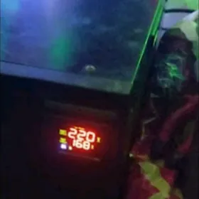 tok kopeltyan star Germany