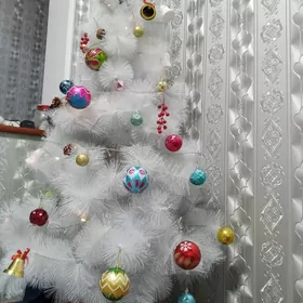 Yolka hemme zady bln