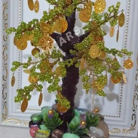 денежное дерево