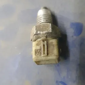 bmw 2.5 katobka lyagushga