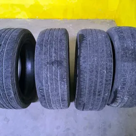 235 . 55 . 19  тигир