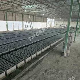 GUM KERPIÇ SEMENT MYTY ŞEBEN