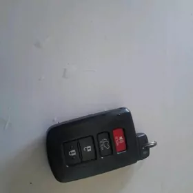 Пулыт Хайландер   2019