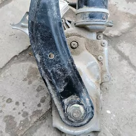 Siyena bagaj  mator.