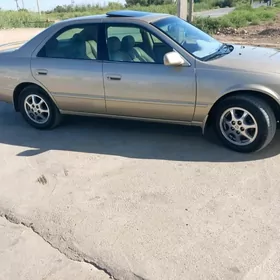 15 lik diska  pakrysga