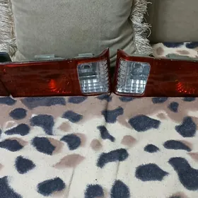 бабочка стопники