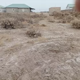 Pasylka yer Andreyda