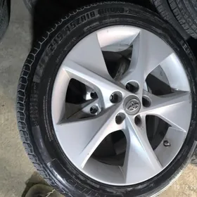 Palta kemri Arginal diska 18