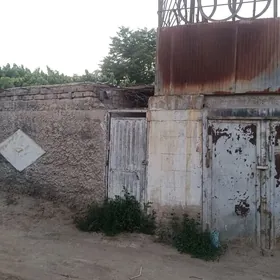 дача Мары гресс