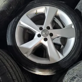 17 Ekskulziv diska pakryska