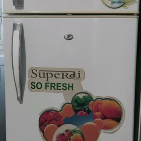 САТЛЫК ХАЛАДЕЛНИК