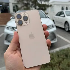 iPhone 16Pro Max 256 100%