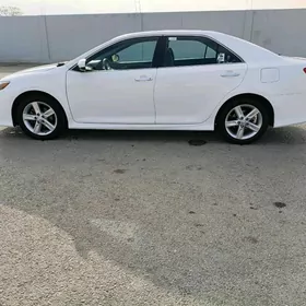 Toyota Camry 2013