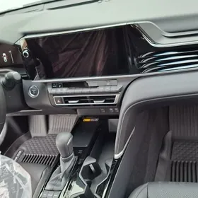 2025 kemri Kowryk arginal.