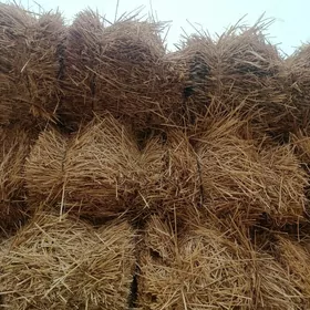 Saman ýagdaýy gowy