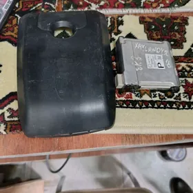 Highlander labawoy kamera