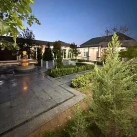 coganly plan jay satlyk