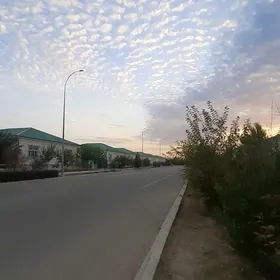 Taze zaman ️тазе заман