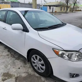 Toyota Corolla 2009
