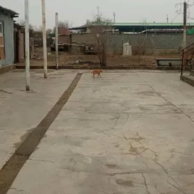 satlyk mellek eýesinden