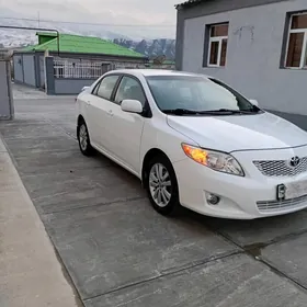 Toyota Corolla 2010