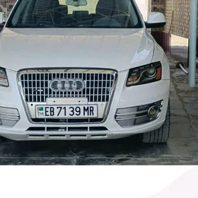 Audi Q5 2010