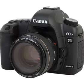 canon D5  markII