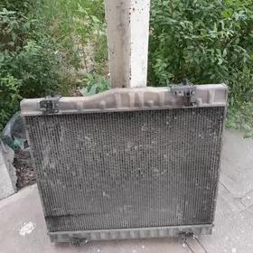 hayis radiyator radnoy