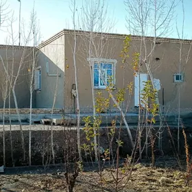 Şerbakow 8nji klametr