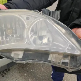 fara karolla carolla 2012