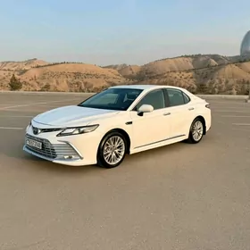 Toyota Camry 2019