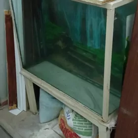 akwarium аквариум