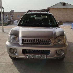Hyundai Santa Fe 2004