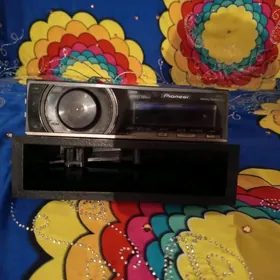 pioner orginal delfin