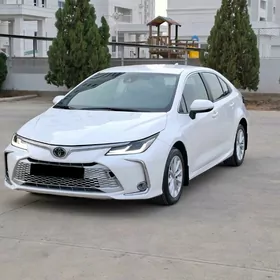 Toyota Corolla 2023