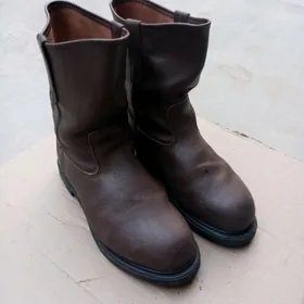 Sapok Adik  Red Wing