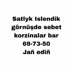 Satlyk karzina sewet sandyk