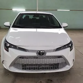 Toyota Corolla 2022
