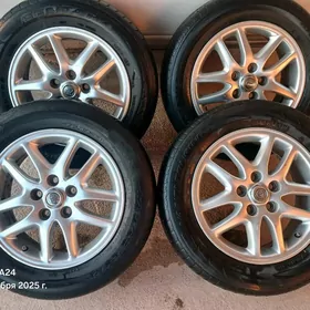 Diska Grand babjka klimit 16