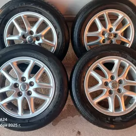 Babycka diska grant R16