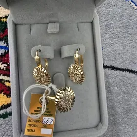 Altyn (gyzyl) komplekt