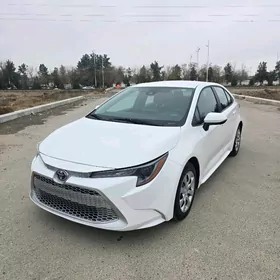 Toyota Corolla 2021