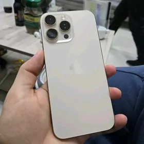 16 pro max 256 1 sim